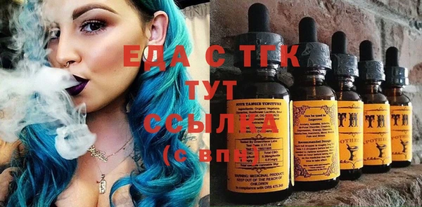 ECSTASY Бородино