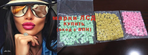ECSTASY Бородино