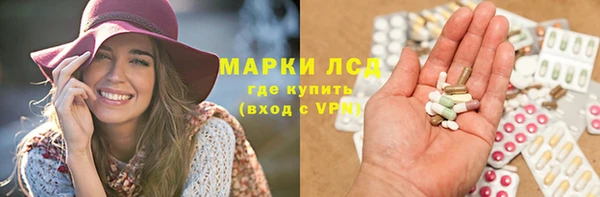 ECSTASY Бородино