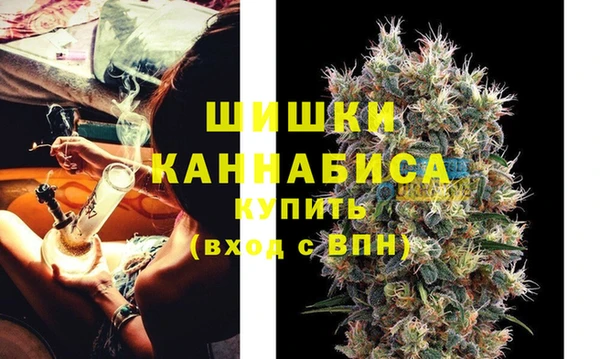 ECSTASY Бородино