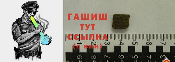 ECSTASY Бородино