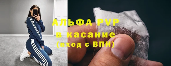 ECSTASY Бородино