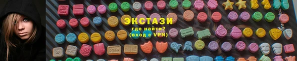 ECSTASY Бородино