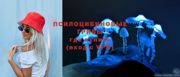 ECSTASY Бородино