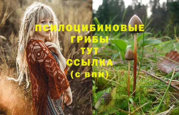 эйфоретик Бугульма