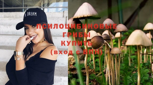 эйфоретик Бугульма