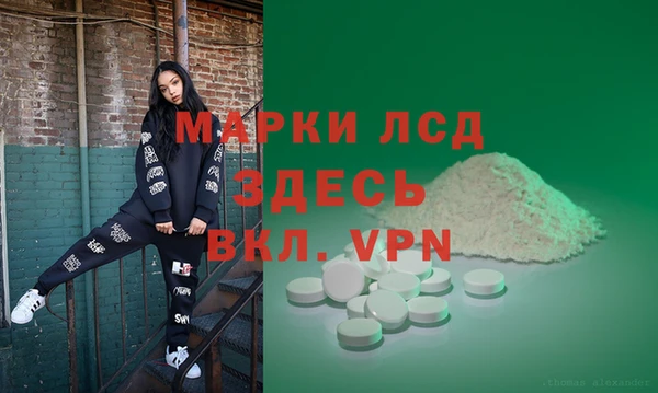 ECSTASY Бородино