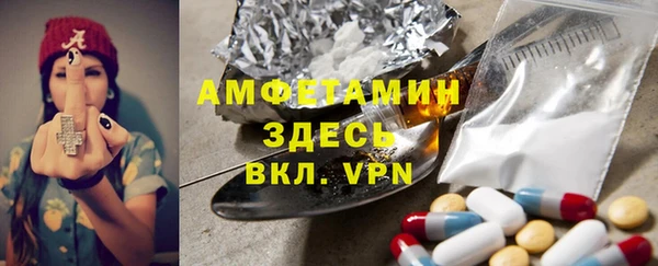 ECSTASY Бородино