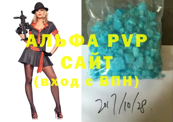 ECSTASY Бородино