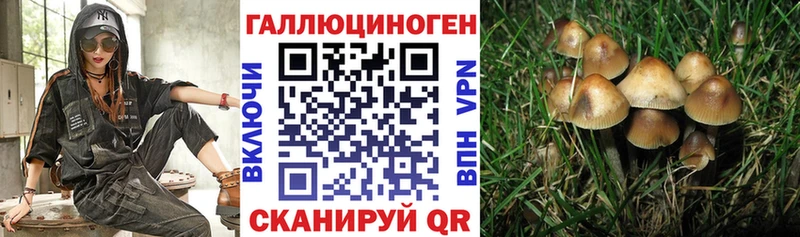 МЕГА как войти shop какой сайт Галлюциногенные грибы MAGIC MUSHROOMS Белгород